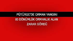 Pütürge'de Orman Yangını