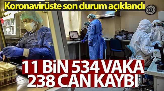 Son 24 saatte 11 Bin 534 koronavirüs vakası tespit edildi