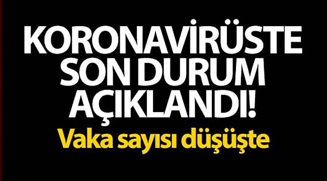 Son 24 saatte 28.817 korona virüs vakası tespit edildi