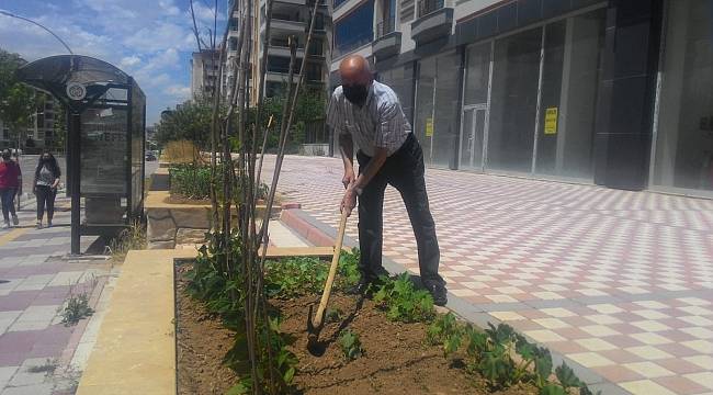 Apartman önünü hobi bahçesi yaptı