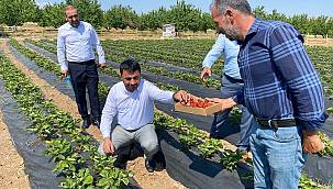 Başkan Samanlı; Çiftçilerimize her türlü desteği veriyoruz