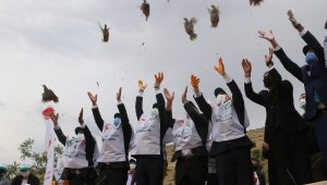 Keklikler, doğaya salındı