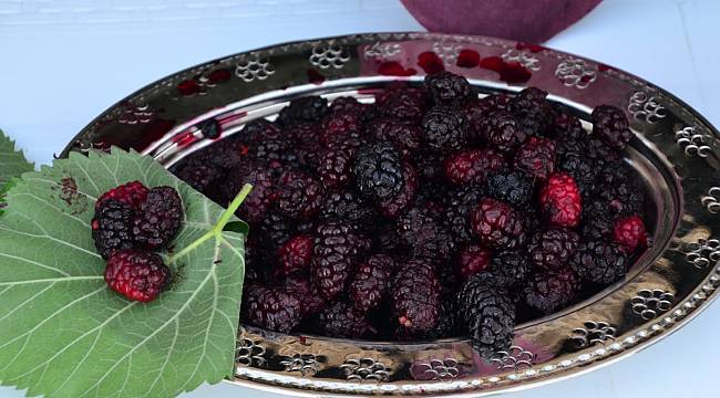 Şifa kaynağı Horum dutu pekmezi gramla satılıyor