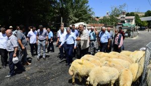 44 noktada kurban satış ve kesim işlemleri yapılacak