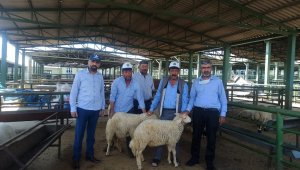 Akın, Dolandırıcılara Karşı Yetiştiricilere Uyarılarda Bulundu