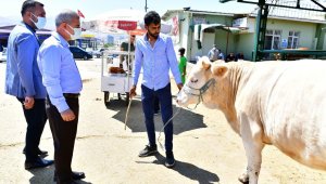 Başkan Çınar, canlı hayvan pazarında inceleme yaptı