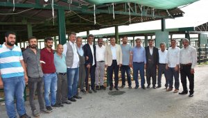 Başkan Özcan, hayvan pazarını ziyaret etti