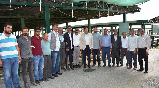 Başkan Özcan, hayvan pazarını ziyaret etti