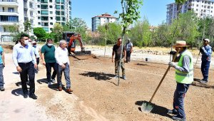 Çınar, Horata Deresi etrafındaki yeşillendirme çalışmalarını inceledi