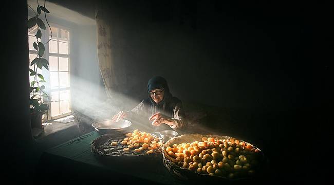Kayısı Hasadı Fotoğraf Yarışması maratonu sonuçlandı