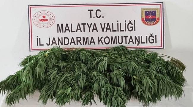 Malatya'da 10 kilo esrar ele geçirildi