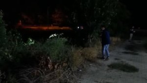Domuzlar mahalleye indi, vatandaşlar panik yaşadı