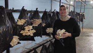 80 TL sermeye ile başladı şimdi 500 metrekare tesiste üretim yapıyor
