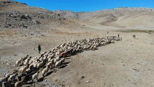 Çoban bile çobana kız vermeyince, kırsaldaki gençler başka işlere yöneliyor