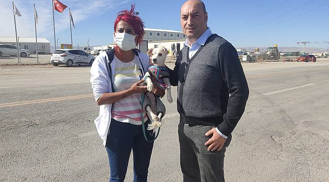 Duyarlı vatandaşın sayesinde köpekler kurtuldu