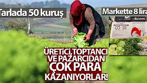 Marul tarlada 50 kuruş, markette 8 lira