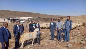 Sarıçiçek Yaylasındaki su sıkıntısı çözüme kavuşuyor