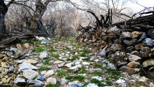 Arapgir artık sakin şehirde tescilli