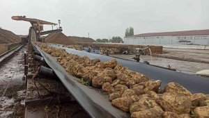 Malatya Şeker Fabrikası'nda hedef 60 bin ton şeker üretimi