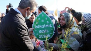 Malatya'da bir yılda 2 milyon 250 bin fidan toprakla buluşacak