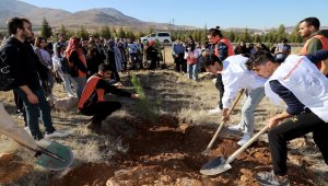Öğrenciler fidan dikiminde buluştu