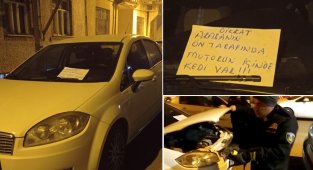 Aracın motoruna sıkışan kedi itfaiye ekipleri tarafından kurtarıldı