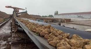 Malatya'da Pancar Alım Sezonu Sona Erdi