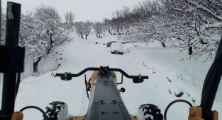 Malatya'da kar nedeniyle 15 köyün yolu kapandı