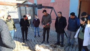 Malatya'da koyun kırkma eğitimi