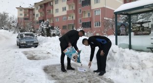 Arapgir Belediyesi, sokak hayvanlarını unutmadı