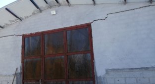 Çöken besi çiftliğinde hayvanlar son anda kurtarıldı