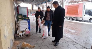 Arguvan'da sokak hayvanları unutulmadı
