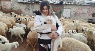 Baharın müjdecisi kuzu doğumları başladı