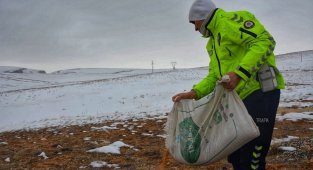 Karda yiyecek bulmakta zorlanan hayvanlara polis şefkati