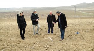 Kayısı fidanı üretimi 3 kat arttı