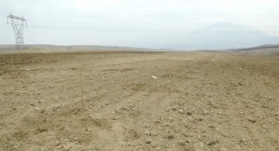 Üretime katkı için mera ve yaylaklar kiralanacak