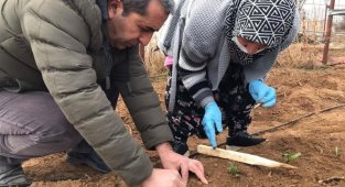 Çiftçilere mazot ve gübre desteği ödemeleri başladı