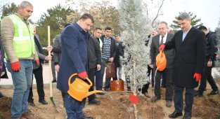 Malatya'da 'Hemşehri Dernekleri Fidan Dikim Şenliği' Yapıldı