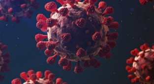 20 Nisan Korona Virüs Tablosu Açıklandı