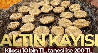 Kilosu 10 bin TL olan altın kaplamalı kayısı üretti