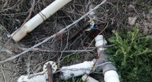 Malatya'da mahalleye dadanan hırsızlar su pompalarını çaldı