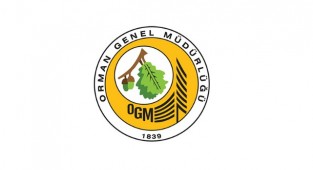 Orman Genel Müdürlüğü 283 Sözleşmeli Mühendis Alımı Yapacak
