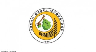 Orman Genel Müdürlüğü 5000 Geçici İşçi Alımı Yapacak