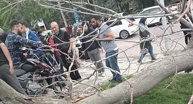 Malatya'da Devrilen Ağacın Altında Kalan 2 Genç Yaralandı