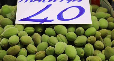 Malatya kayısı çağlaları tezgahlardaki yerini aldı