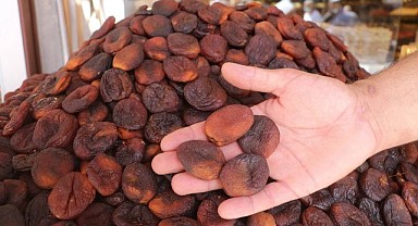 2022 Kayısı Rekoltesi Açıklandı