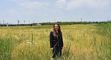 MTÜ'den tahıl üretimine destek