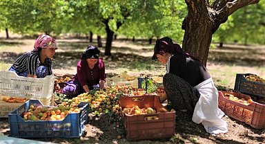 Asgari ücretin altında işçi çalıştıranlara yasal işlem