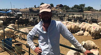 Besiciler, bayramın son günü akika ve adak için kurbanlıkları bekletti