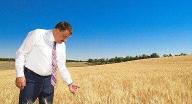 Çiftçilere dağıtılan tohumlar hasat ediliyor
